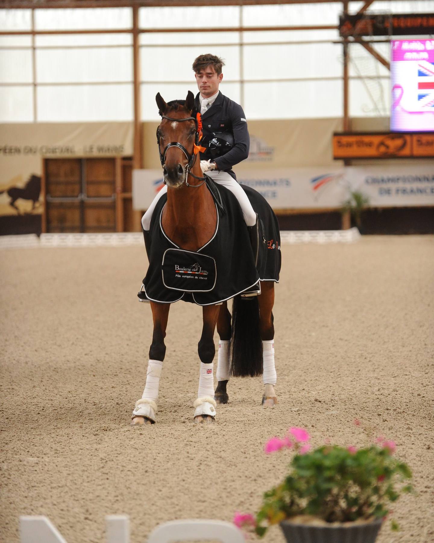 We did it!!! Jacob has been... - Angus Corrie-Deane Dressage