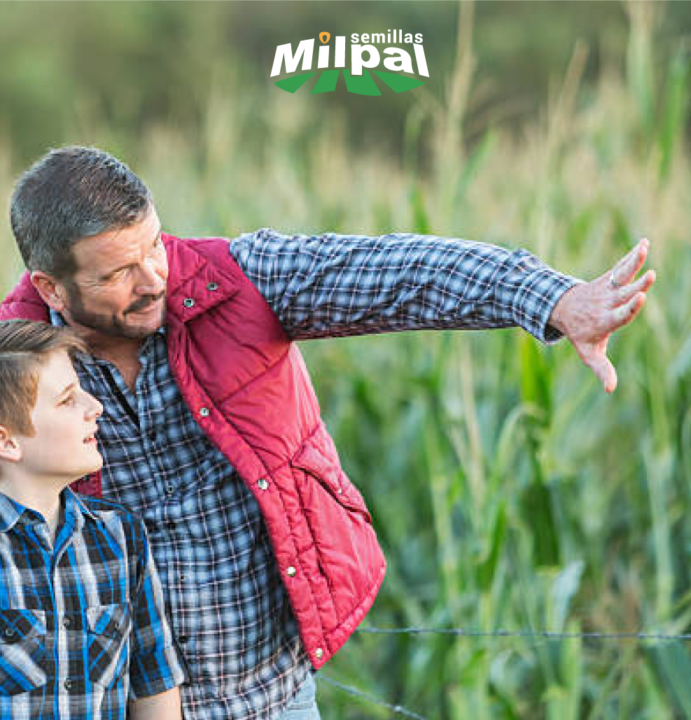 Semillas Milpal - Hereda a tus hijos la importancia del...