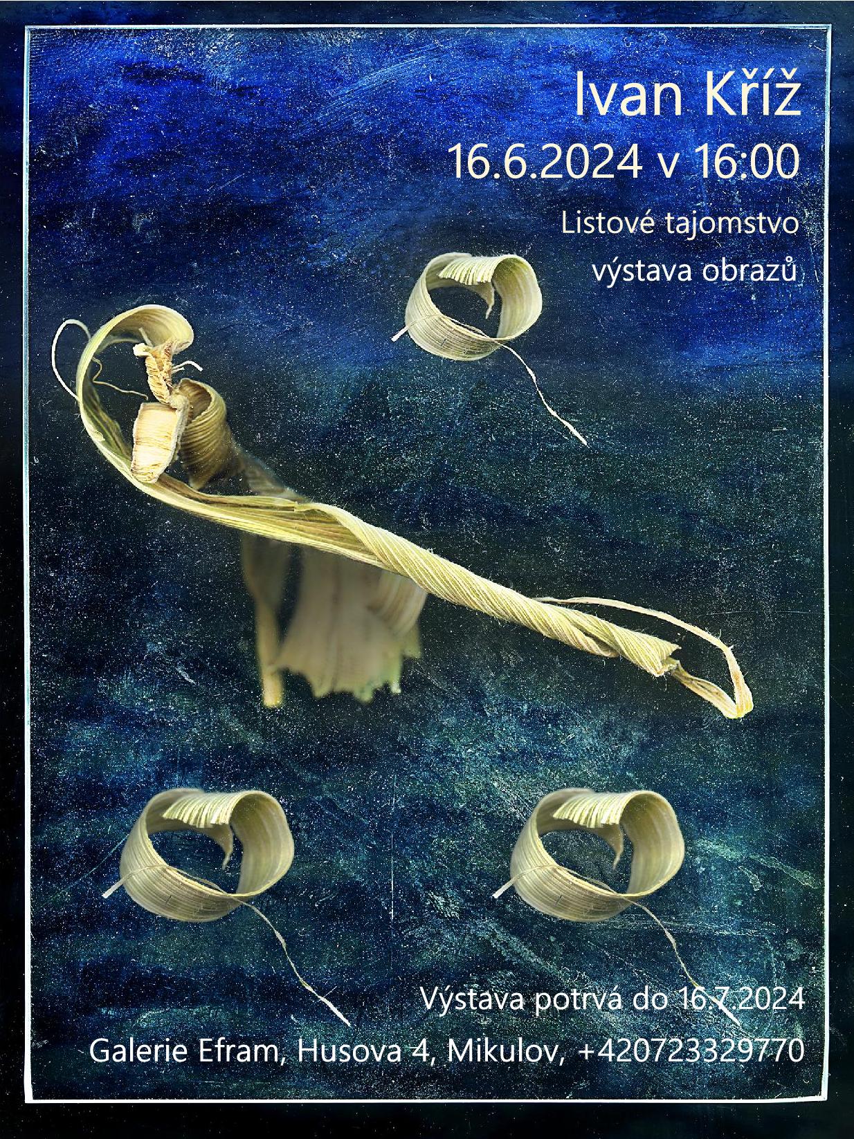 Galerie Efram | Mikulov