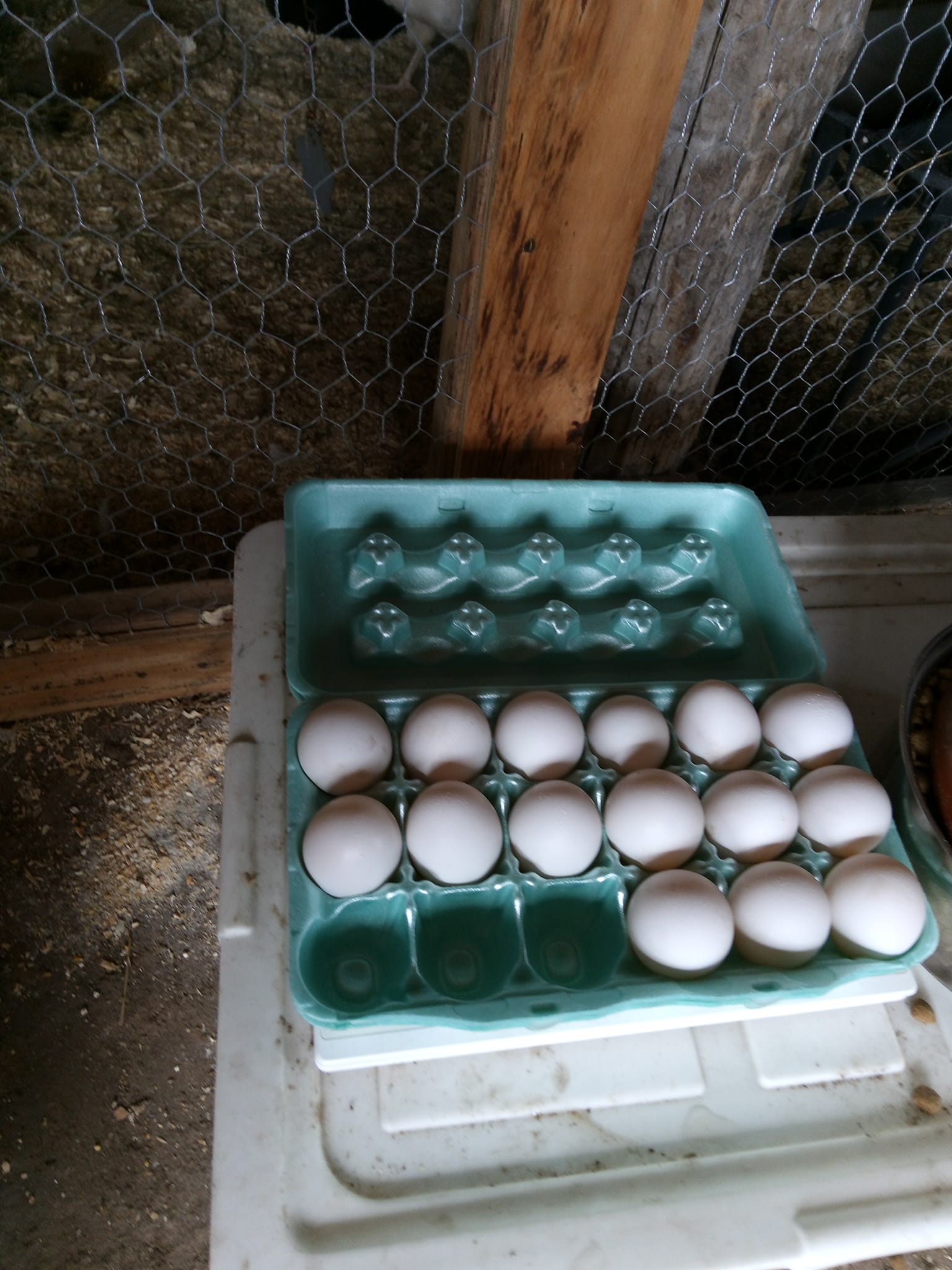 Freedom Ranch 906 LLC. | Cornell MI