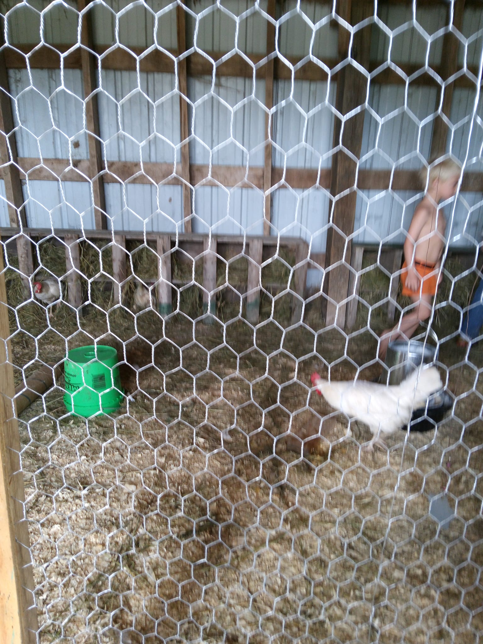 Freedom Ranch 906 LLC. | Cornell MI