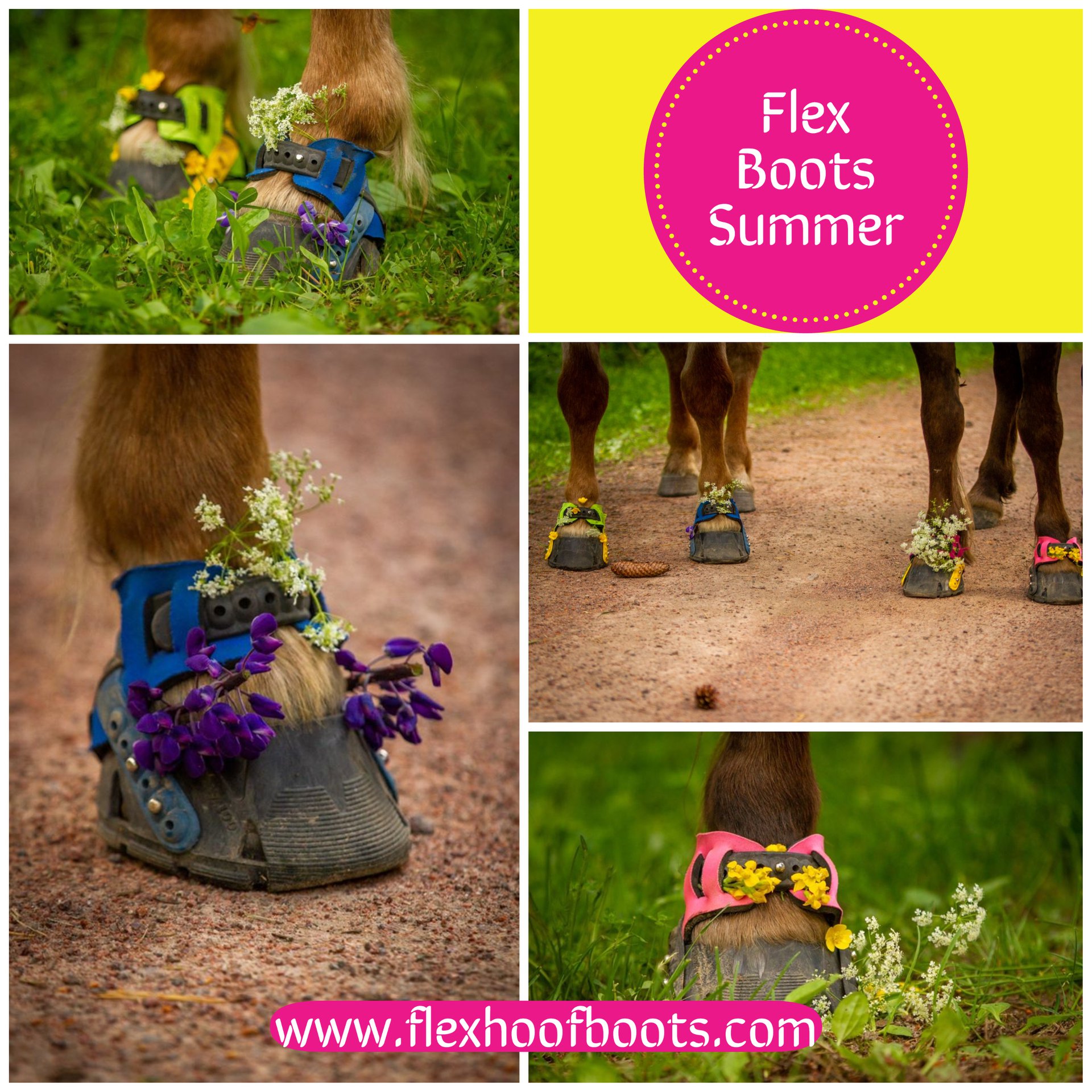 flex-hoof-boots-the-flex-boots-pony-team-decorated-the