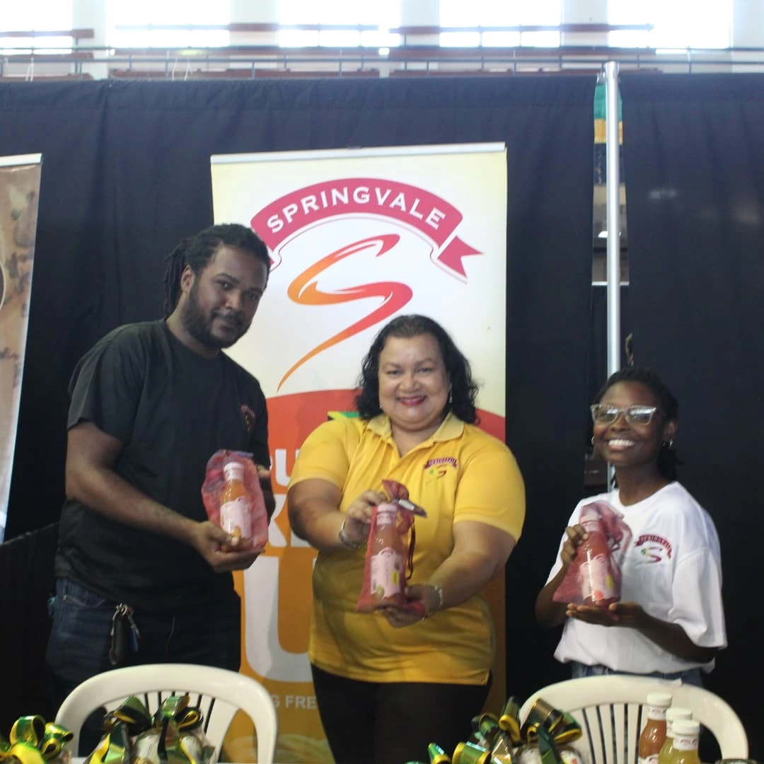 Springvale Products | New Kingston