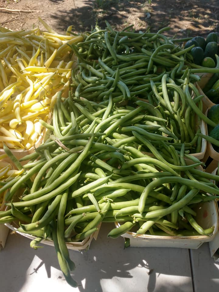 Burdis Family Farm