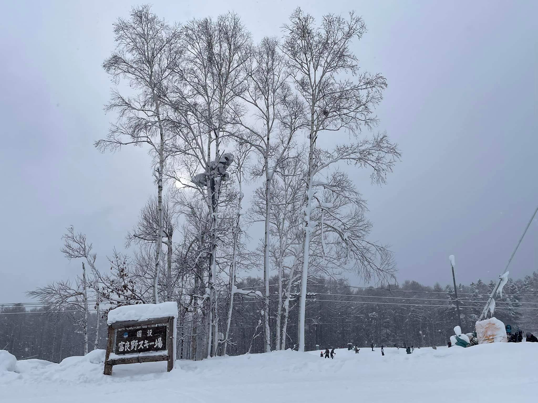 富良野觀光協會 - 近幾天都有在下雪☃️ 算是真正的開始進入雪季啦～... | Facebook