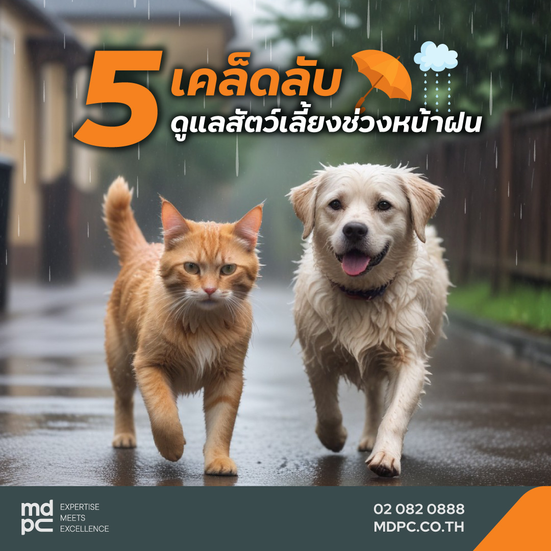 MDPC... - MDPC Property Management ดูแลบริหารจัดการนิติบุคคล