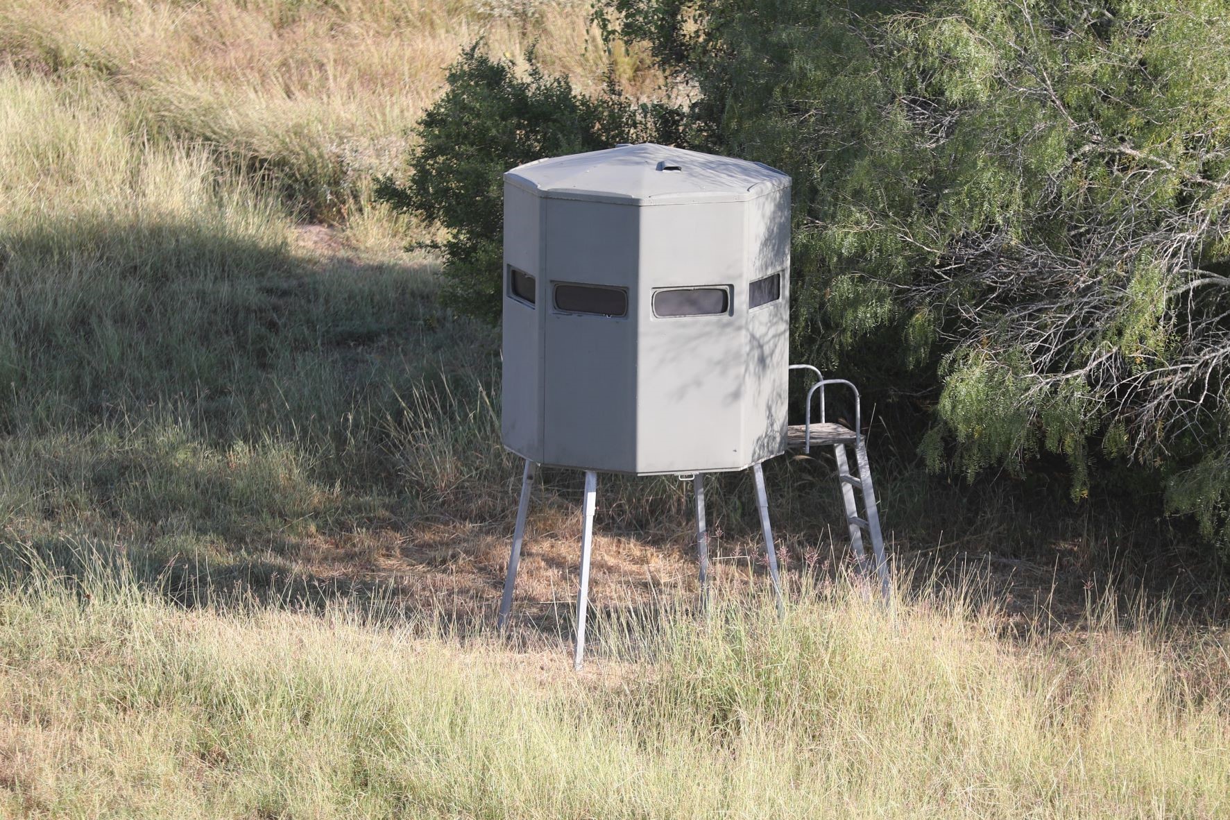 Ruth Ranch Hunting | Sandia TX