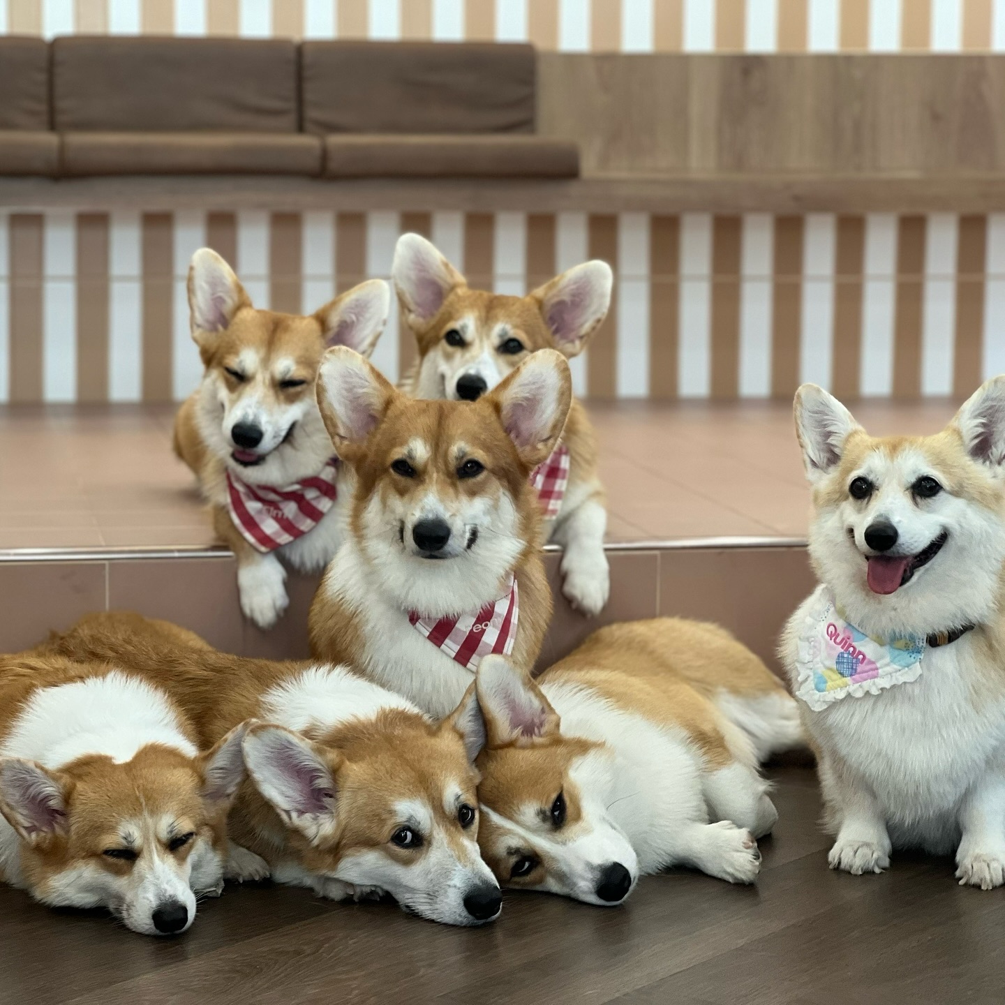 当時のメディア報道・掲載写真