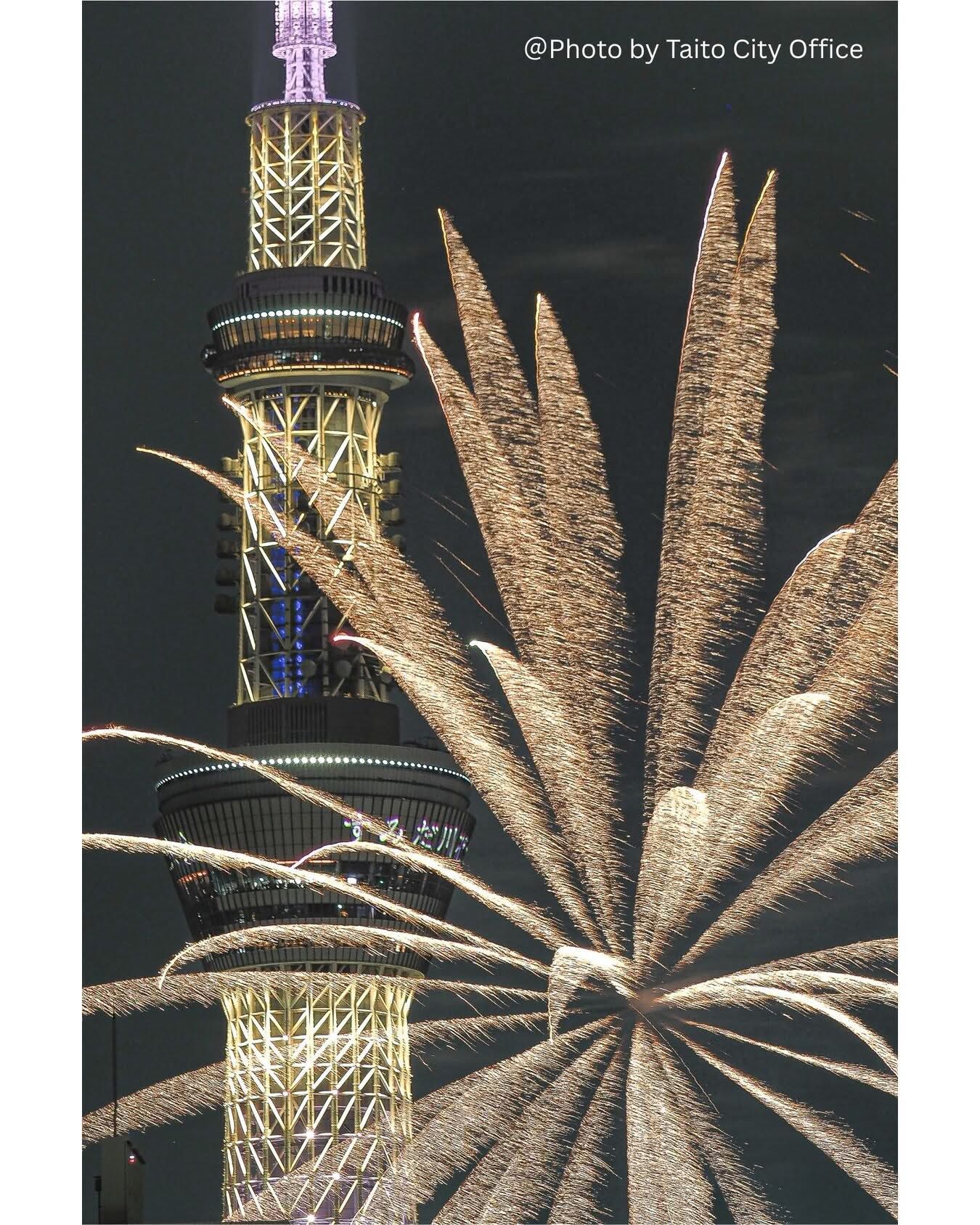 38灯　ROBIN アウトドア TOKYO SKYTREE×HANABI 38灯 ROBIN アウトドア TOKYO SKYTREE×HANABI Tokyo Skytree with
