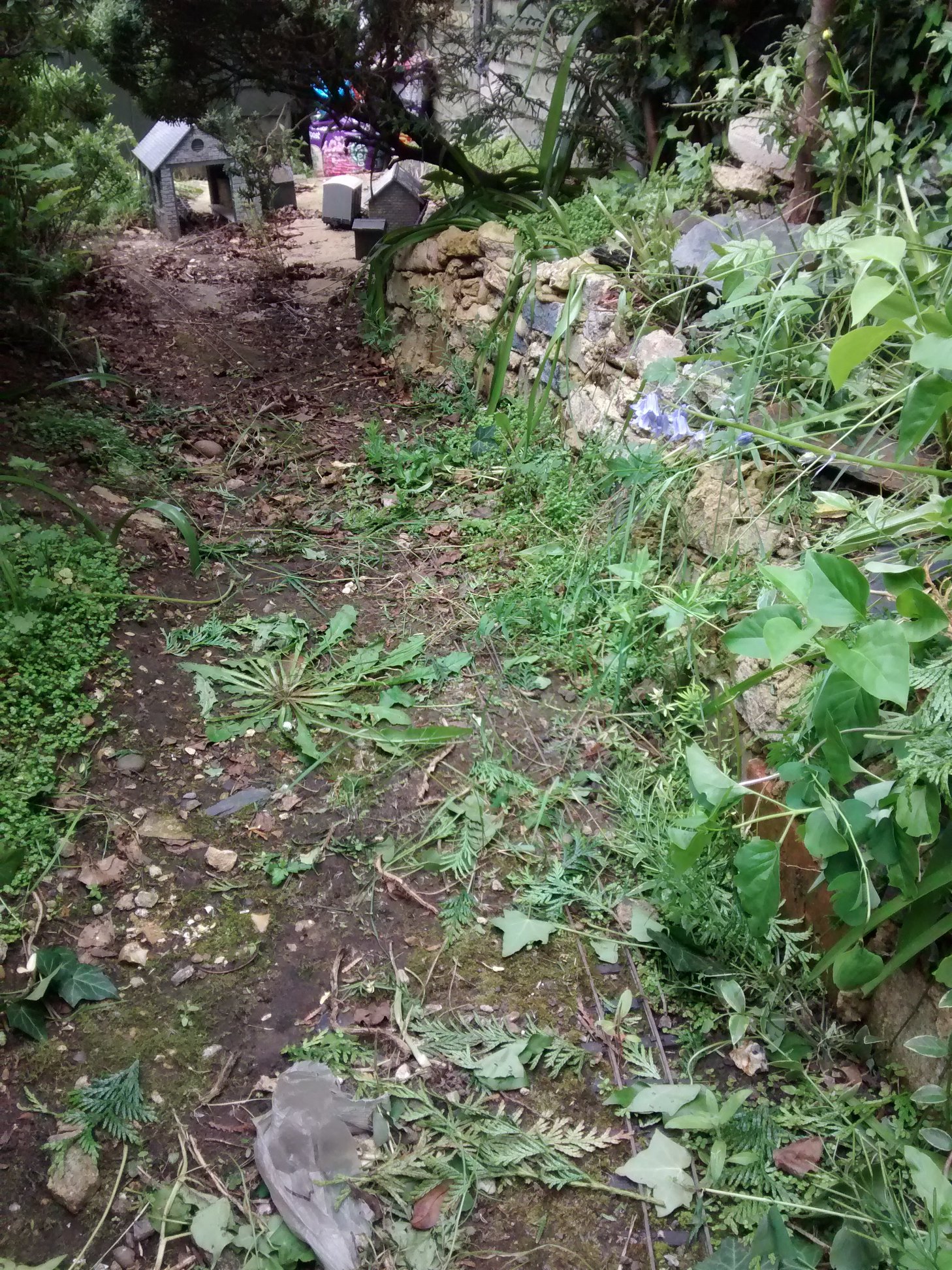 'Perchance it is not dead but... - Isle of Westland Railway