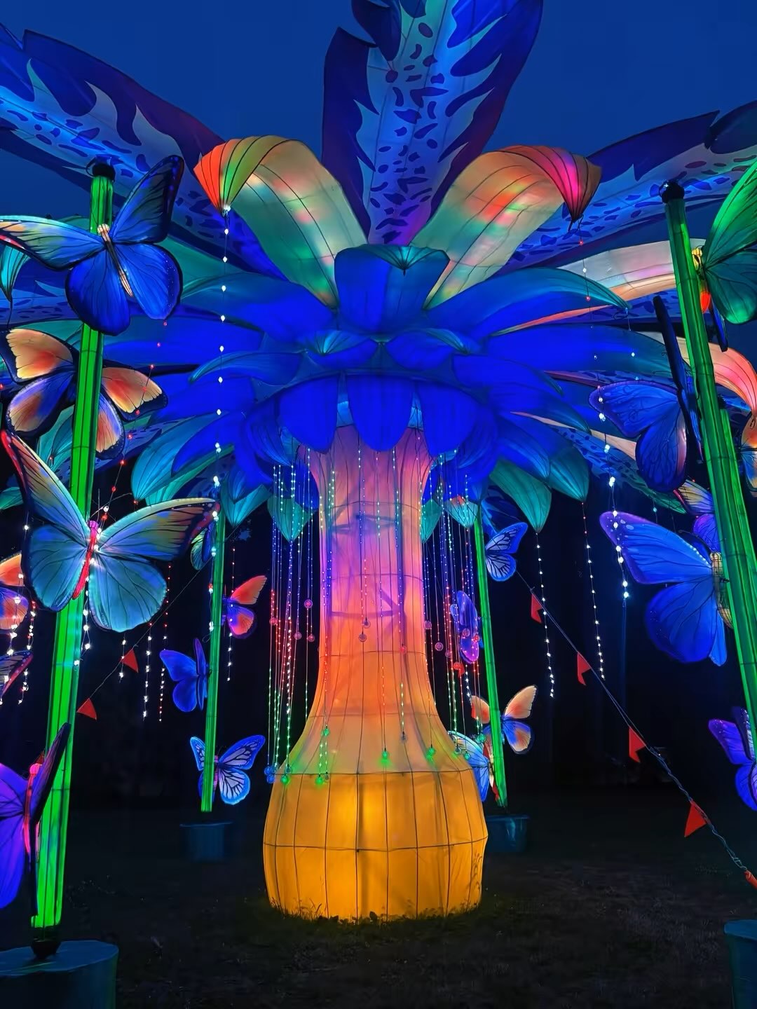 Some pics from the Asian Lantern Fest at the Cleveland Metroparks
