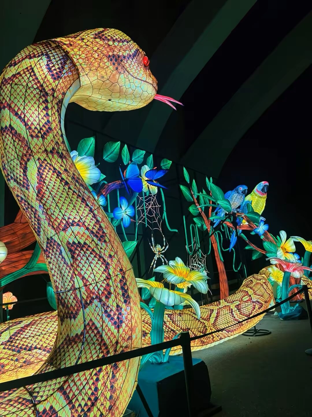 Some pics from the Asian Lantern Fest at the Cleveland Metroparks