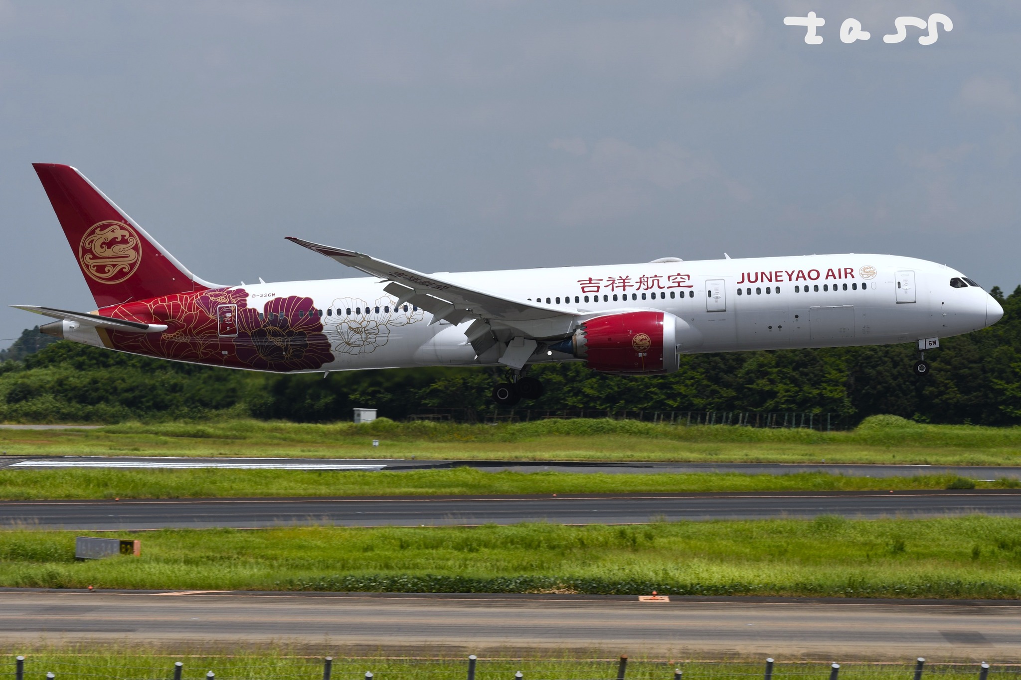 Modellino Aereo Boeing 787-9 ANA 'Future Promise' Scala 1:200, JC Wings SA2026 Con Supporto