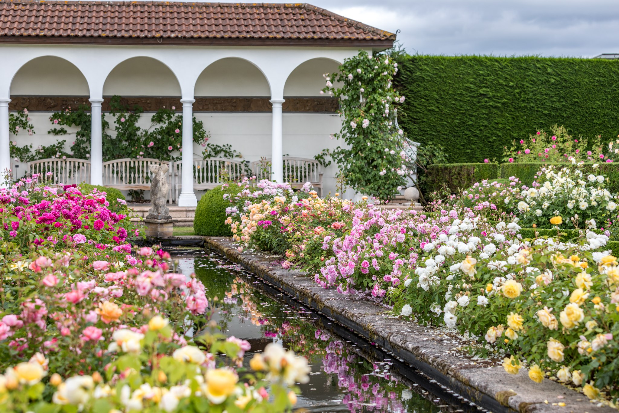 David Austin Roses Visitor Centre | Albrighton