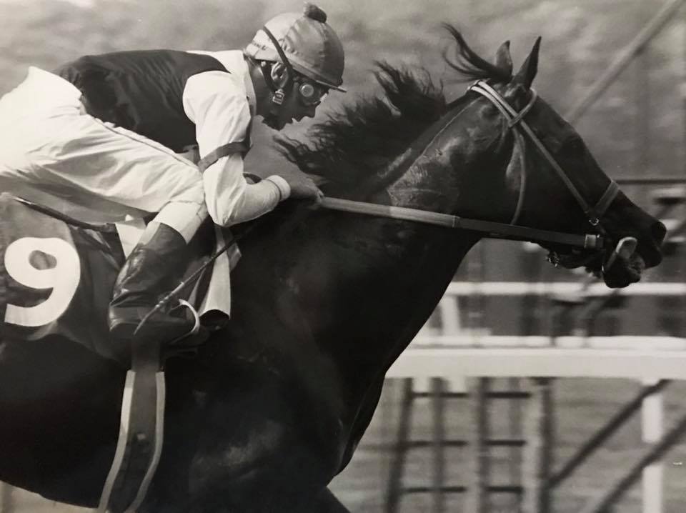Horse - This is an original photo of J. O. Tobin and Jeffrey Fell ...
