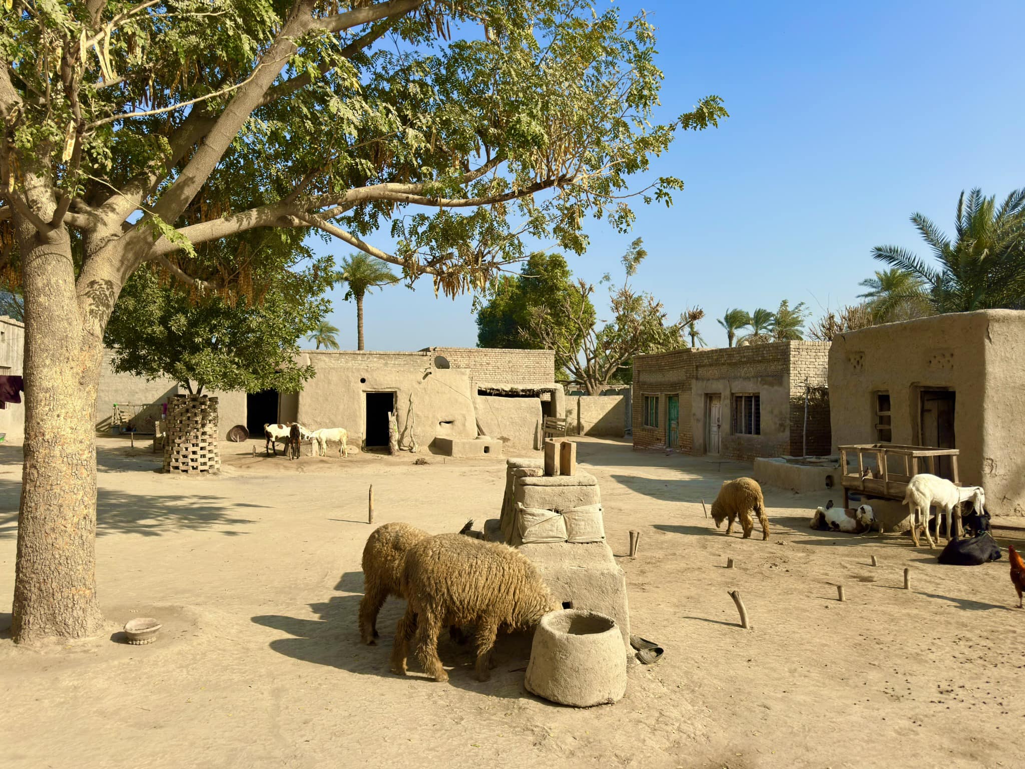 Rahat Amir - Real Simple Village Life | Punjab, Pakistan... | Facebook