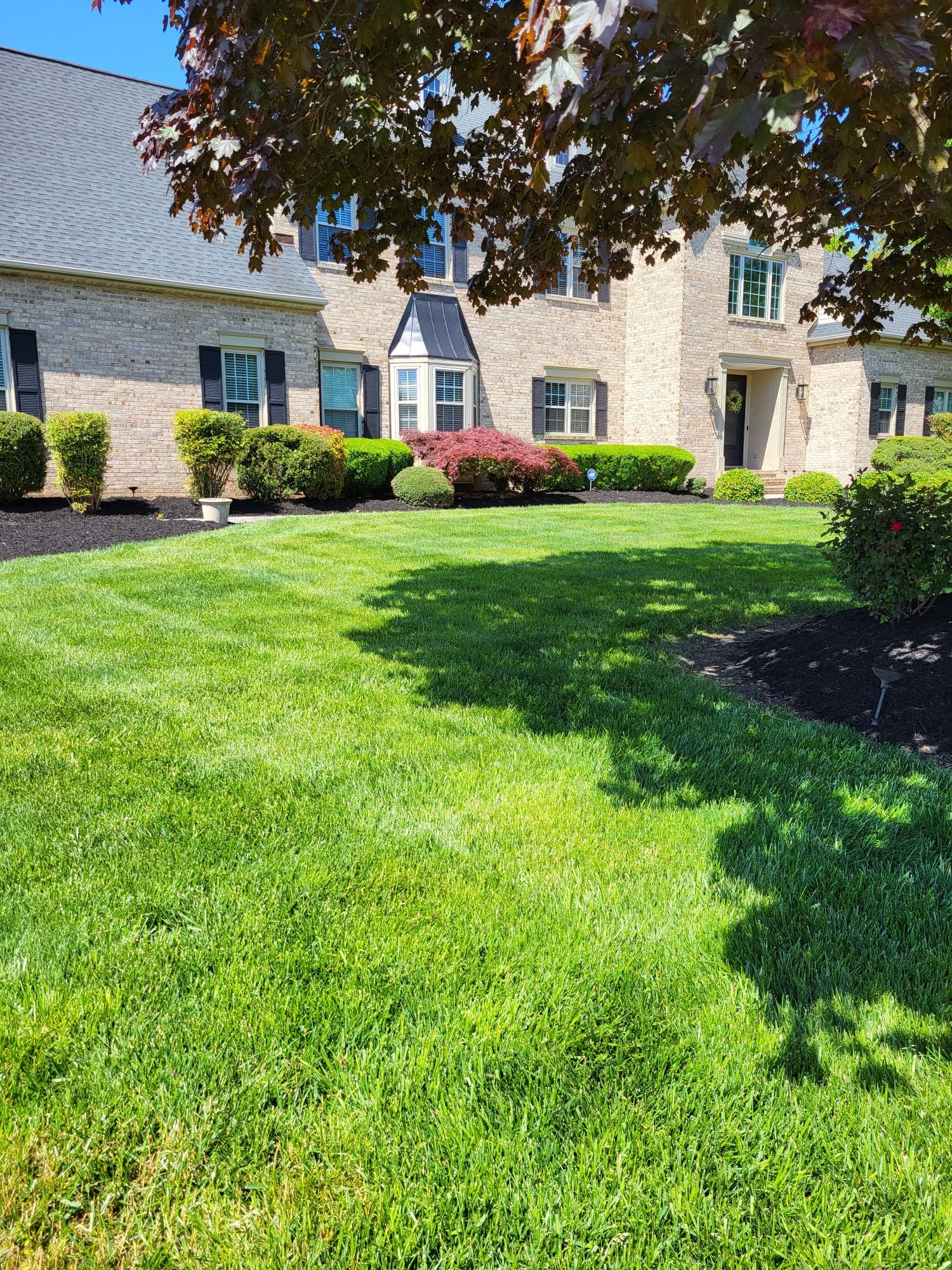 Dominic... - Dominic Richards Landscaping & Design LTD
