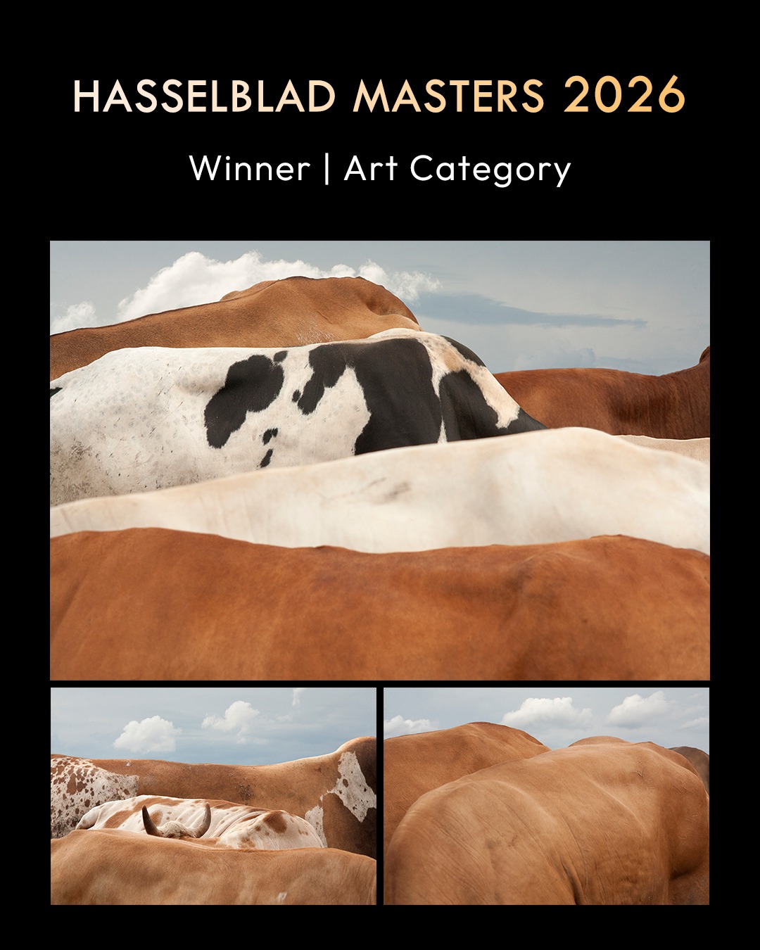 Hasselblad Masters 2026 Winner | Art Category Waste Colonialism