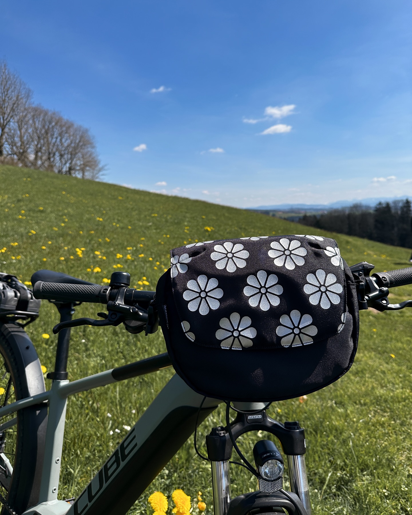 höhenverstellung fahrradlenker LENKER-HÖHENVERSTELLUNG 90° DREHBAR – SCOOTERSPORT Haibike SDURO HardFour 4.0 Apfelchips Model:F3 Pro