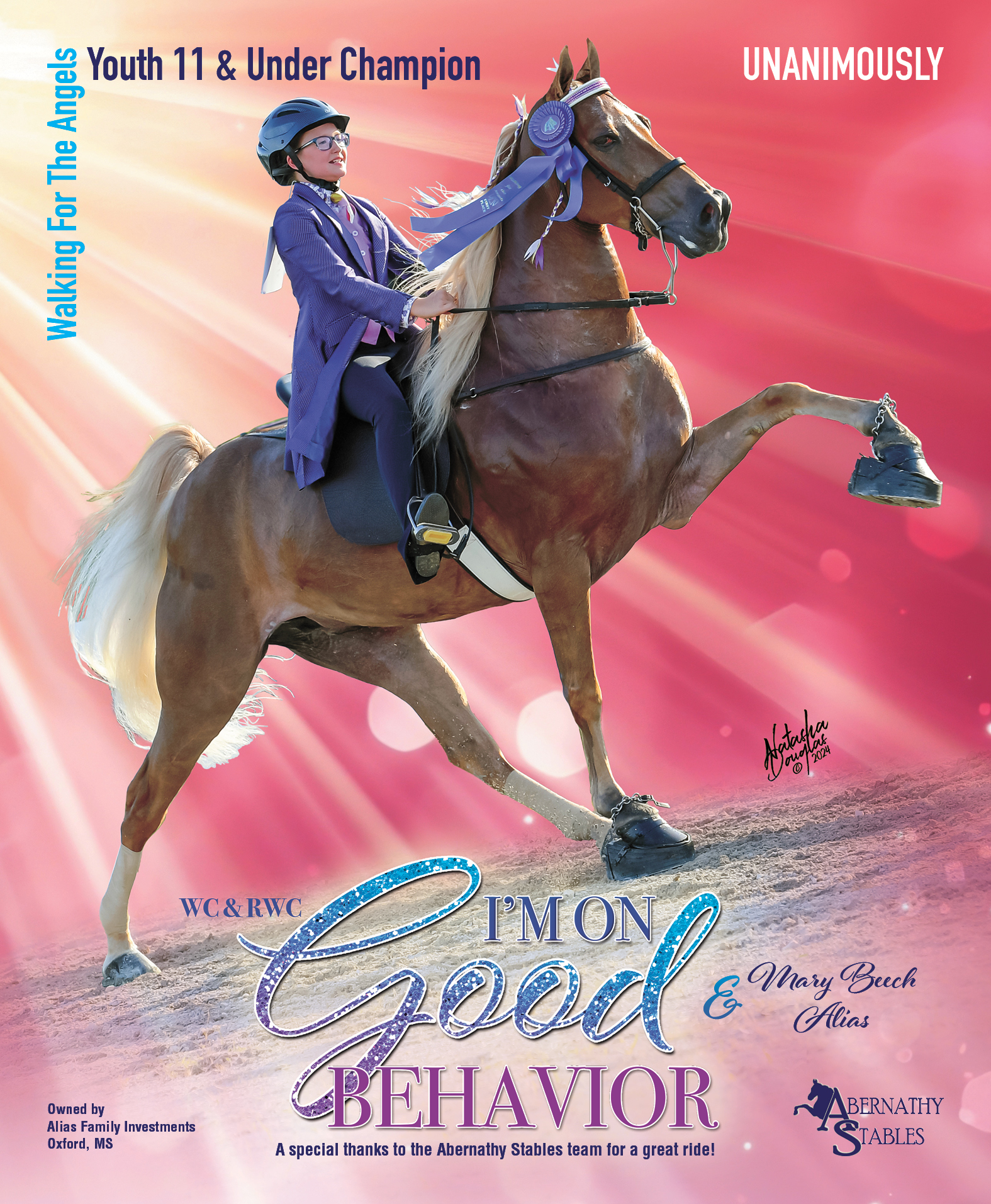 The Walking Horse Report added... - The Walking Horse Report