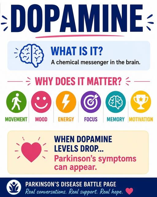 Dopamine neurons and their role in brain health