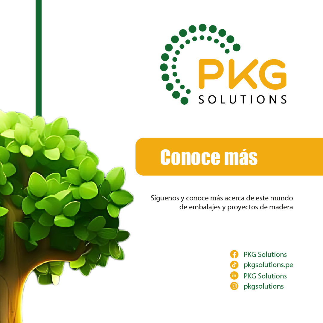 PKG Solutions | Callao