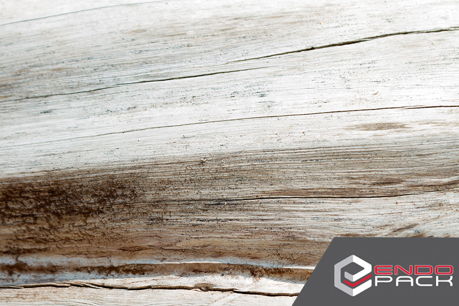 EndoPack - 📦 Need Packaging That Stands the Test of Time! 📦 ENDOPACK’s ...