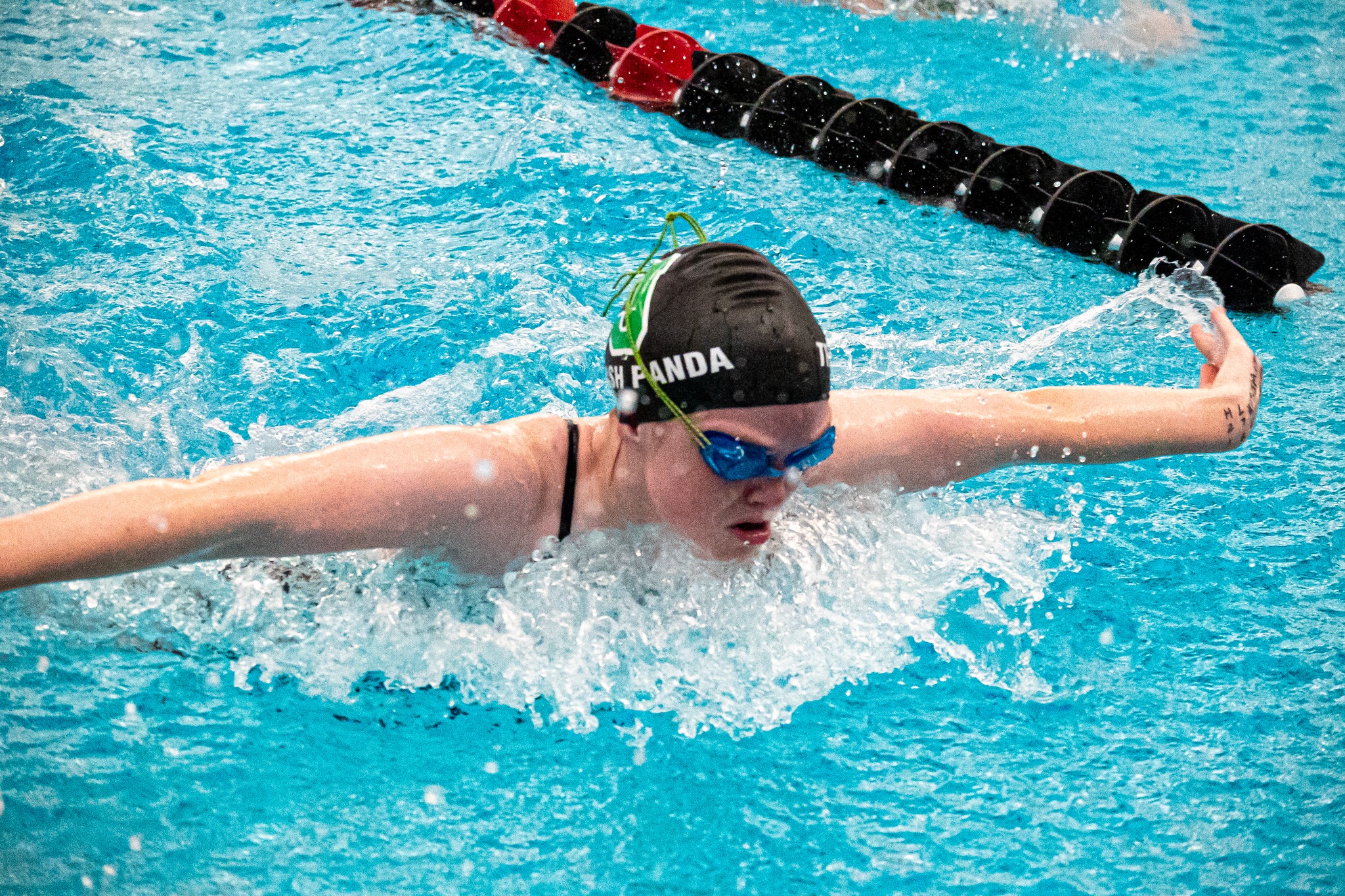 Jenison Area Wildcat Swimming - JAWS | Jenison MI