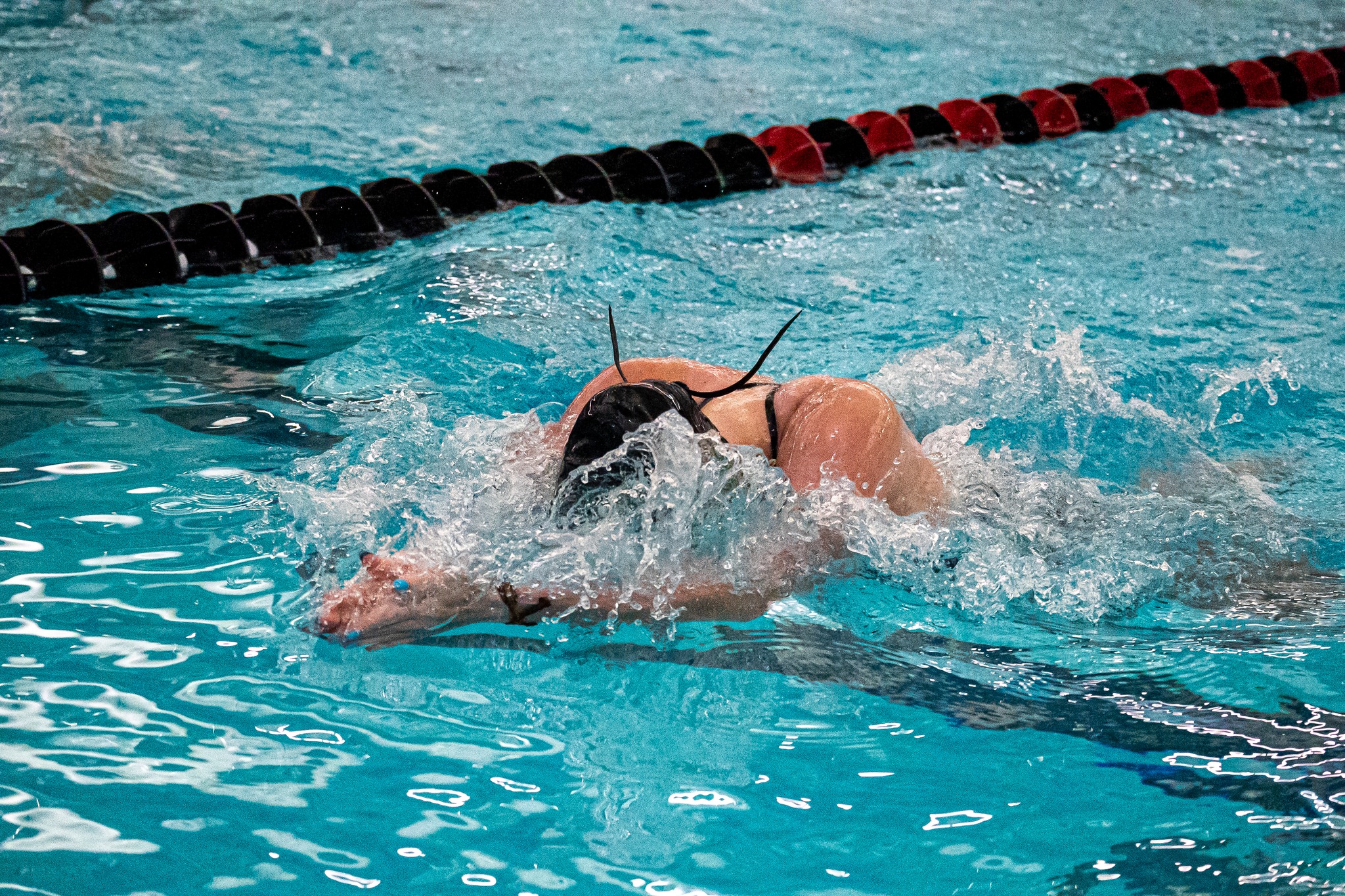 Jenison Area Wildcat Swimming - JAWS | Jenison MI