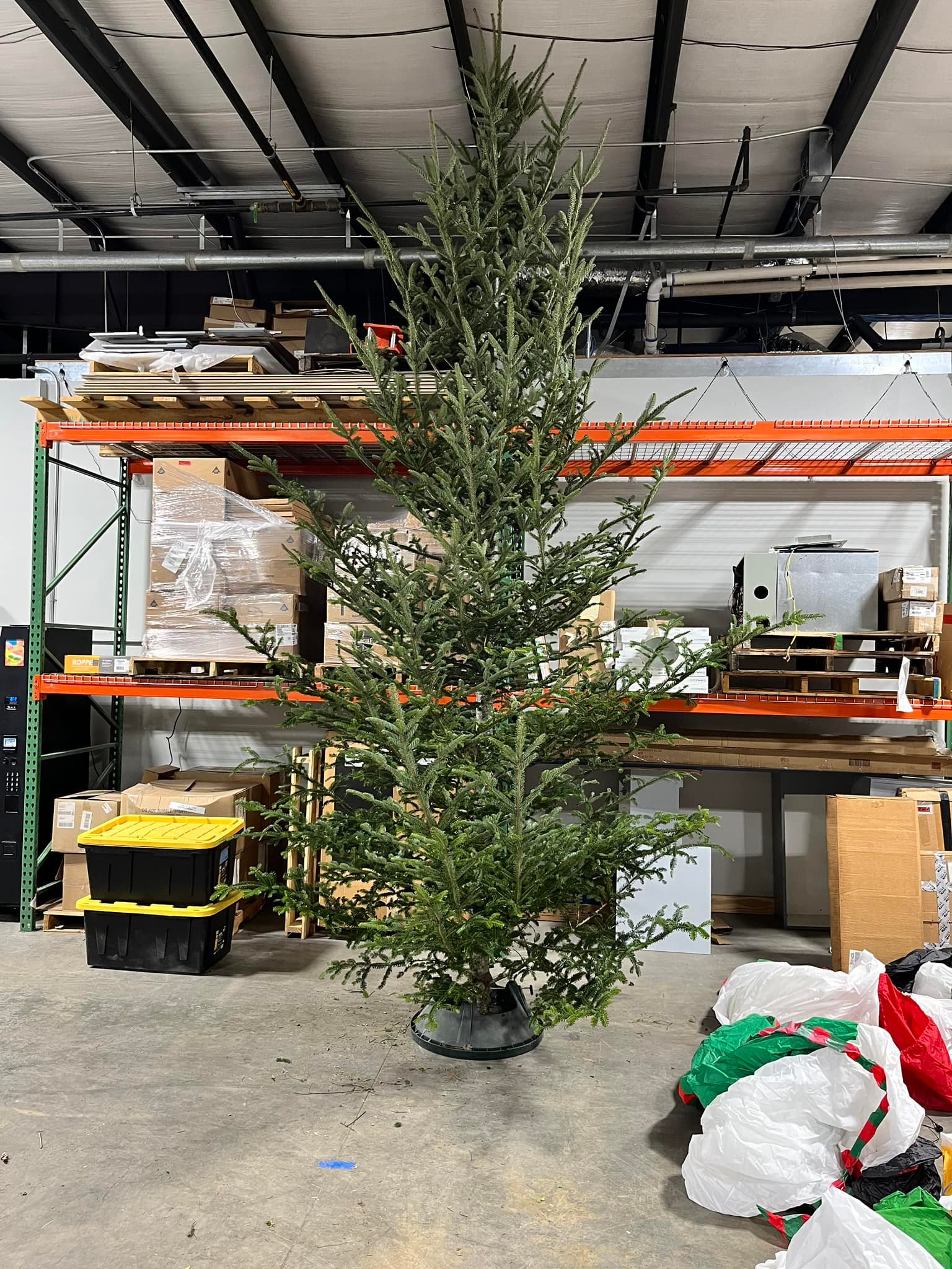 Allen Kelly & Company, Inc. | Raleigh NC