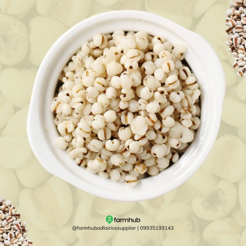 Farmhub - 𝗪𝗛𝗔𝗧 𝗜𝗦 𝗔𝗗𝗟𝗔𝗜 𝗥𝗜𝗖𝗘? 𝗔 𝗰𝗼𝗺𝗽𝗹𝗲𝘁𝗲 𝗴𝘂𝗶𝗱𝗲 𝗳𝗼𝗿 𝗕𝗲𝗴𝗶𝗻𝗻𝗲𝗿𝘀. Ever ...