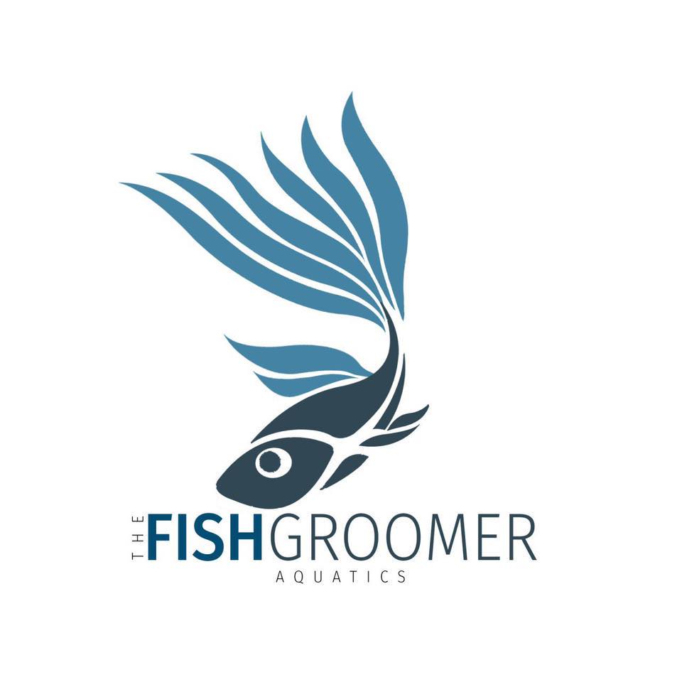 The Fish Groomer Aquatics | Davao City