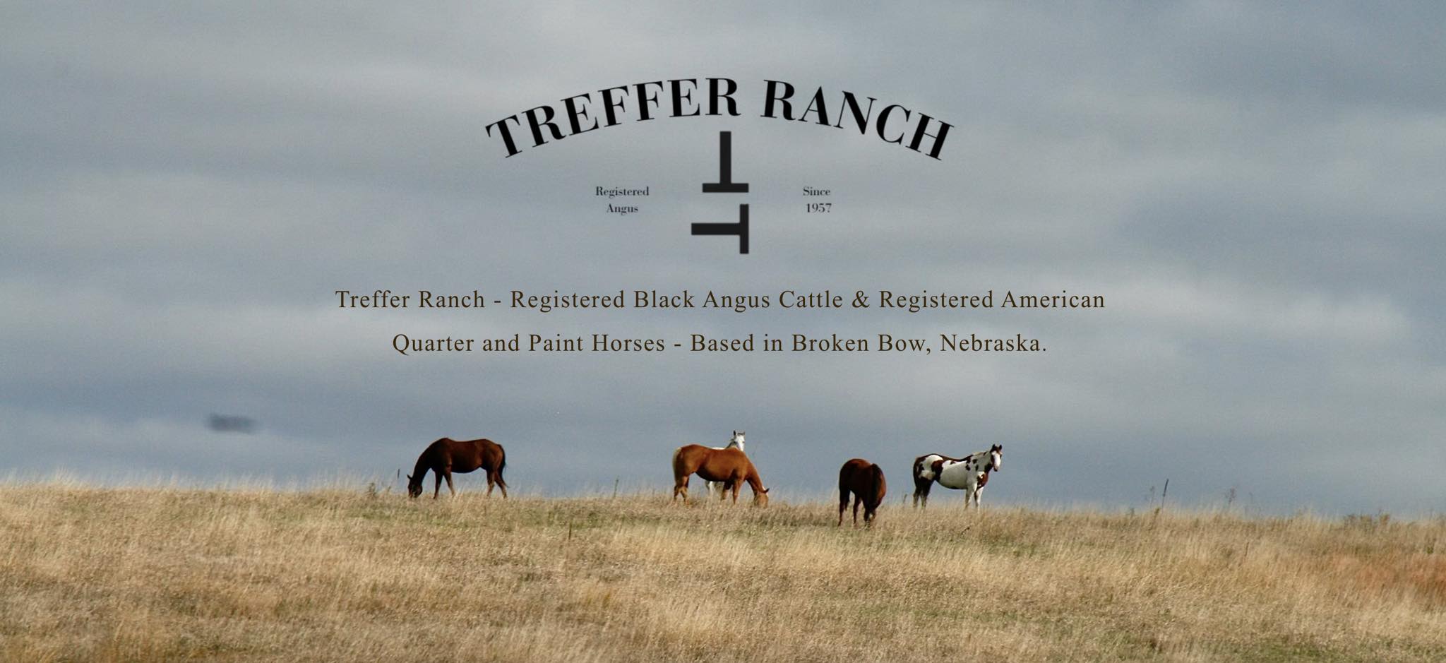 Dethlefs Angus Ranch added a new photo. - Dethlefs Angus Ranch