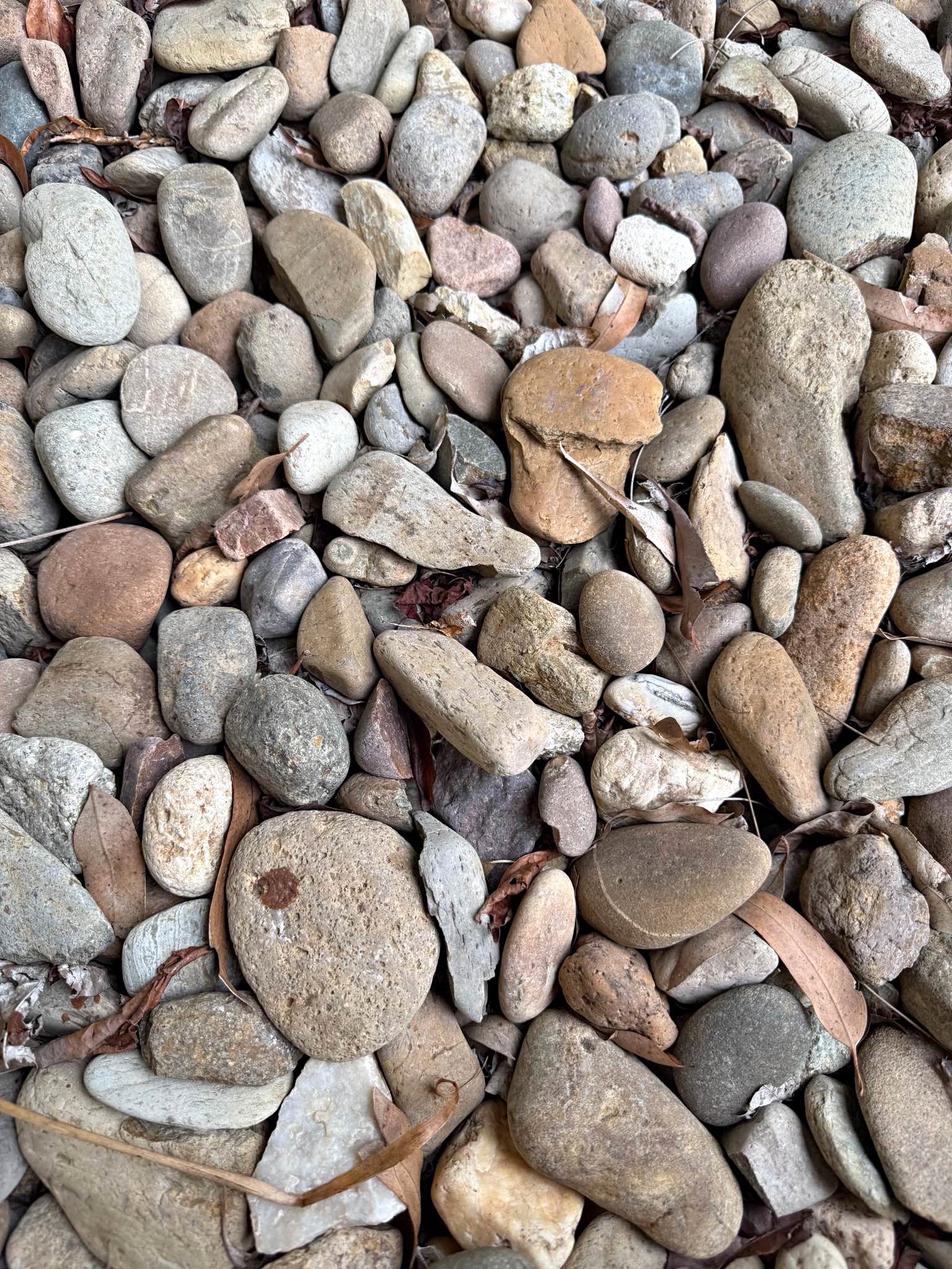 Free garden rocks (not the volcanic just the small rocks) - Landscaping ...