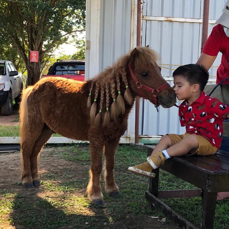 🔴 PUENTAXOOOO en PONY... - Granja Didactica - PONY RANCH | Facebook