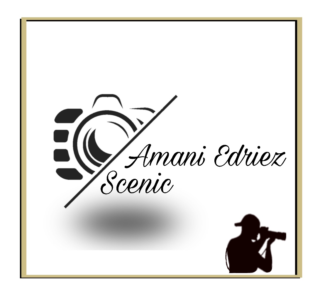 Amani Edries