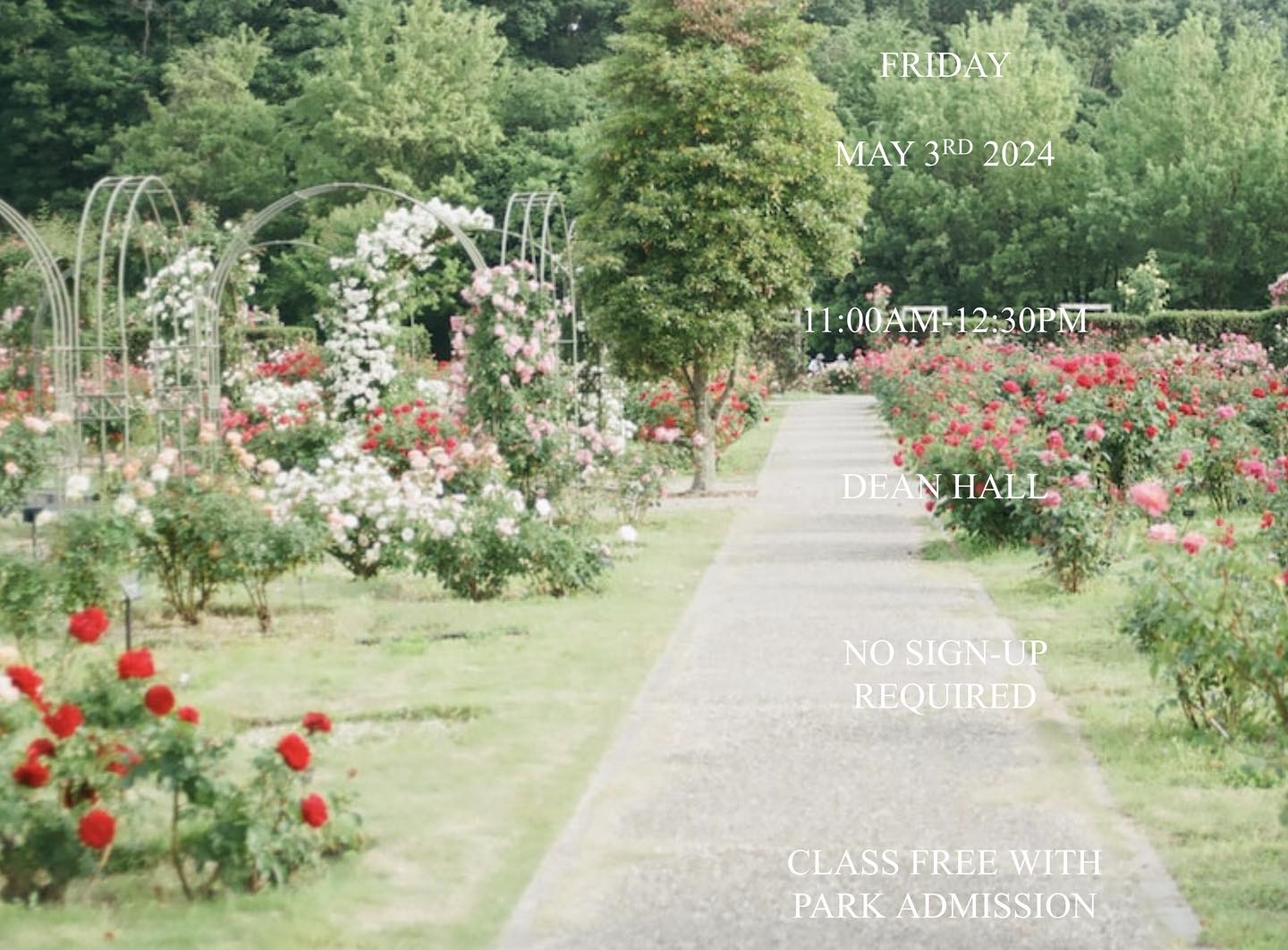 The Charleston Lowcountry Rose Society | Charleston SC