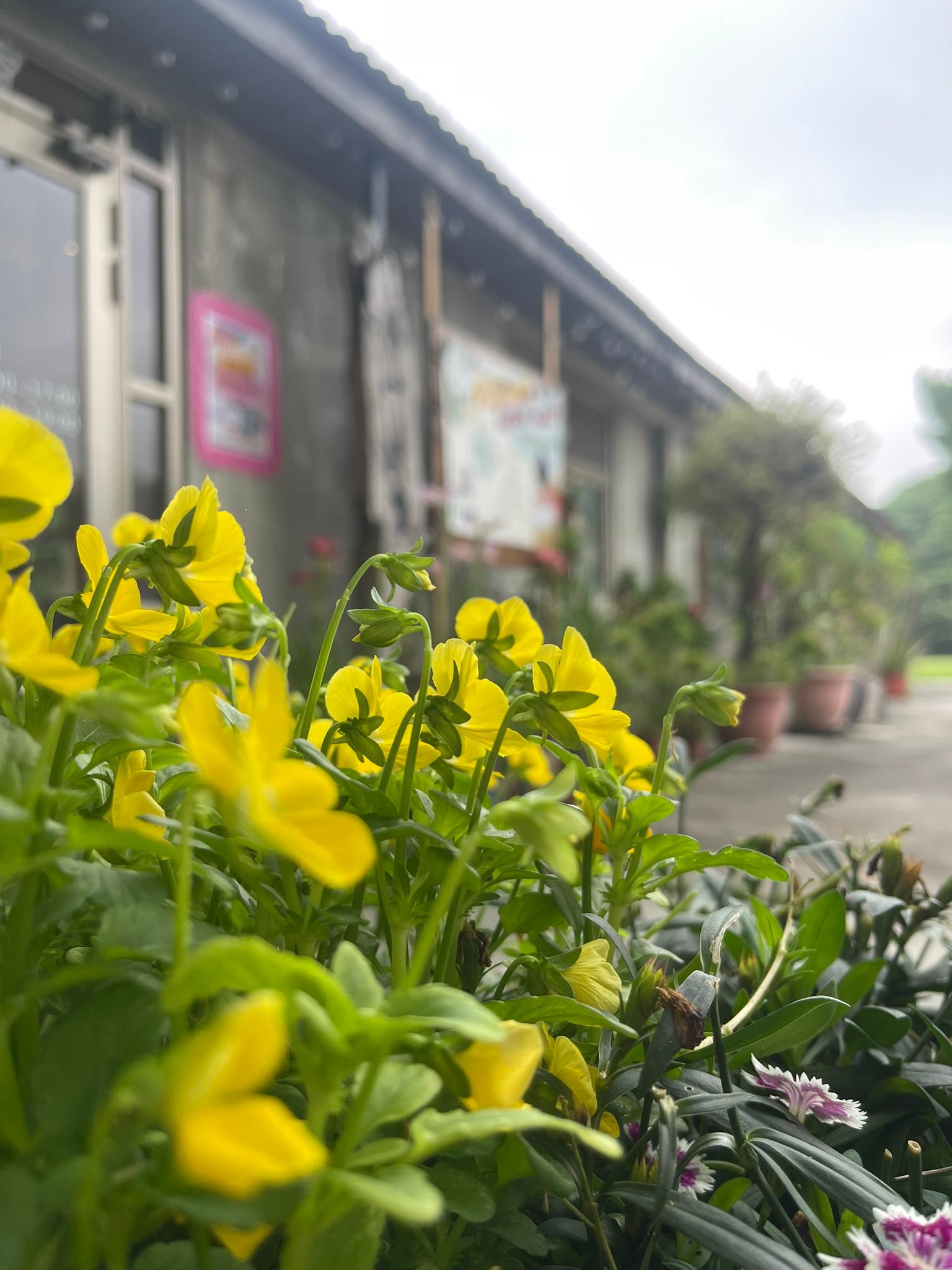 本ㄧ艸堂 - 本ㄧ艸堂 added a new photo — at 本ㄧ艸堂.