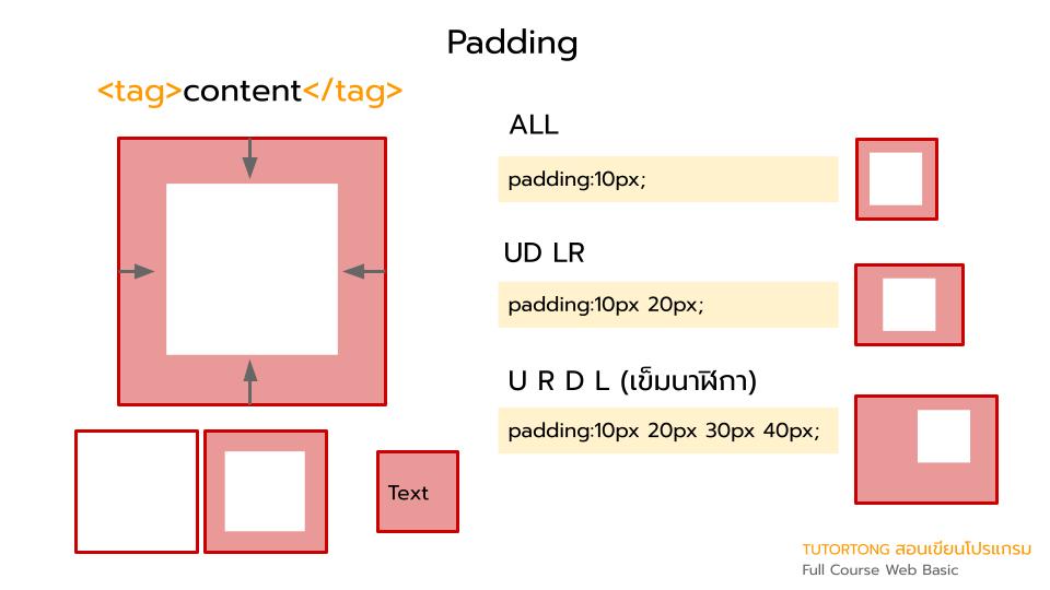 💻 Padding (CSS properties) 💻... - Tutortong สอนเขียนโปรแกรม