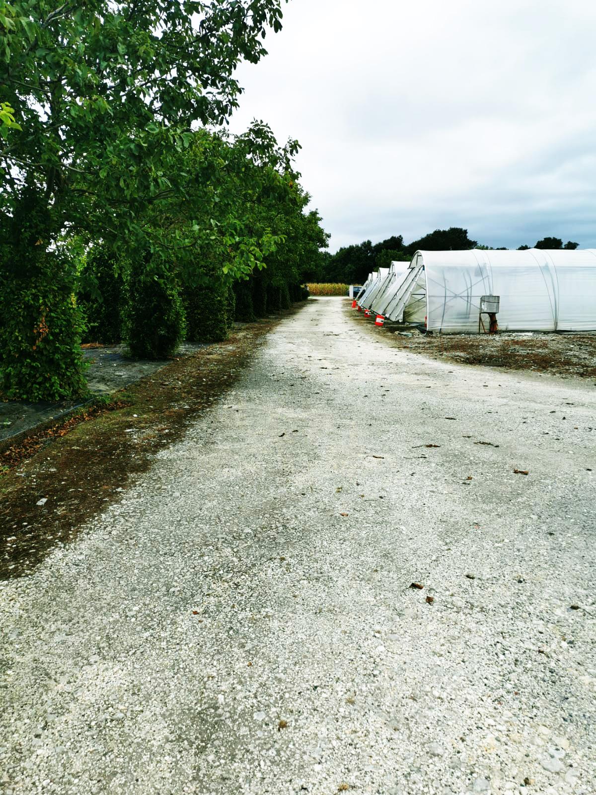 La Ferme Est Dans Le Sac Alaincourt