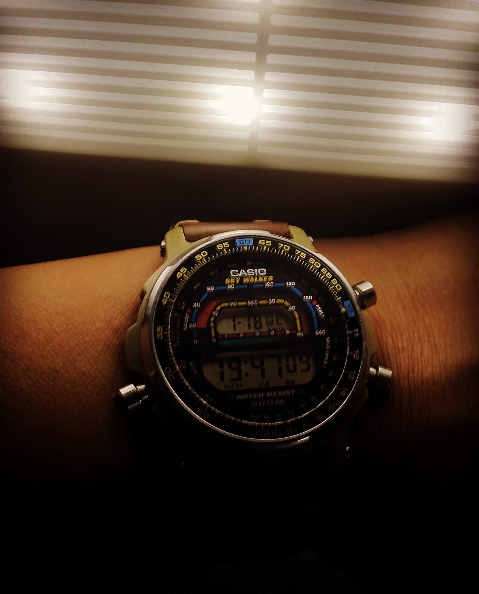 Casio DW2000 vintage watch details and value