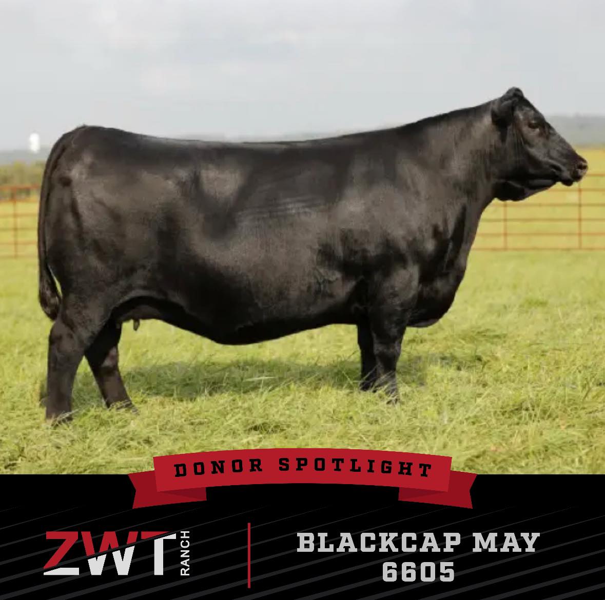 ZWT Ranch | Crossville TN