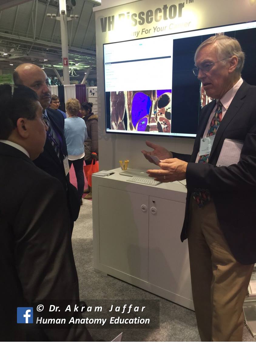 Human Anatomy Education - #anatomy15 Touch of Life Technologies VH ...