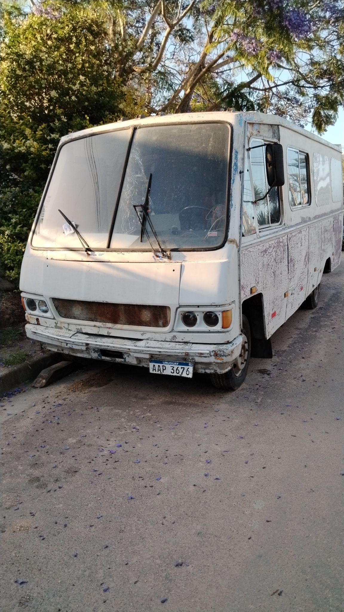 Vendo - Buses - Rocha, Rocha, Uruguay | Facebook Marketplace | Facebook