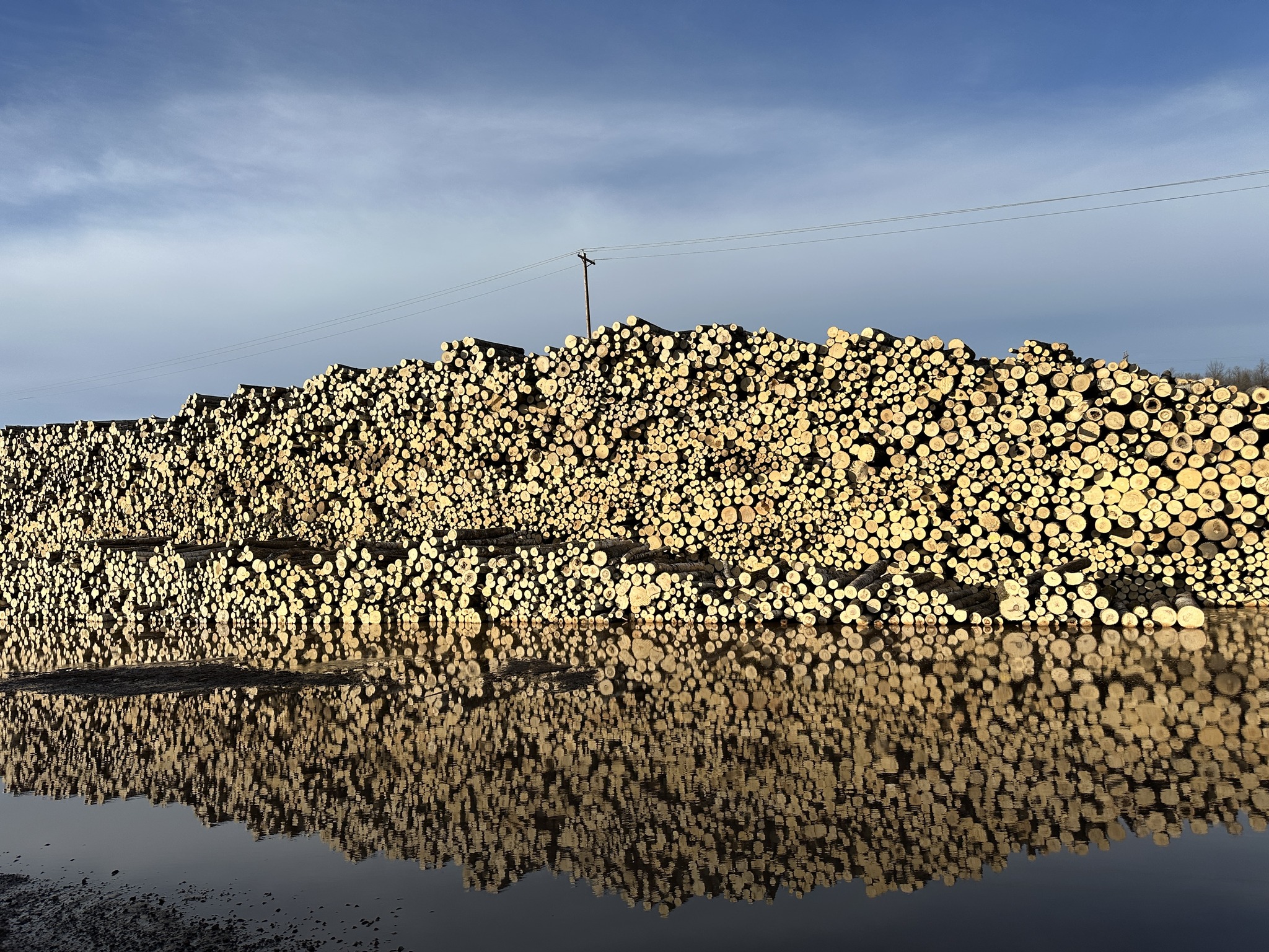 The MFRC released... - Minnesota Logger Education Program | Facebook