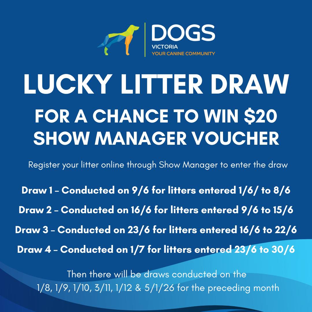 ShowManager - ** DOGS Victoria - Online Litters ** DOGS Victoria ...