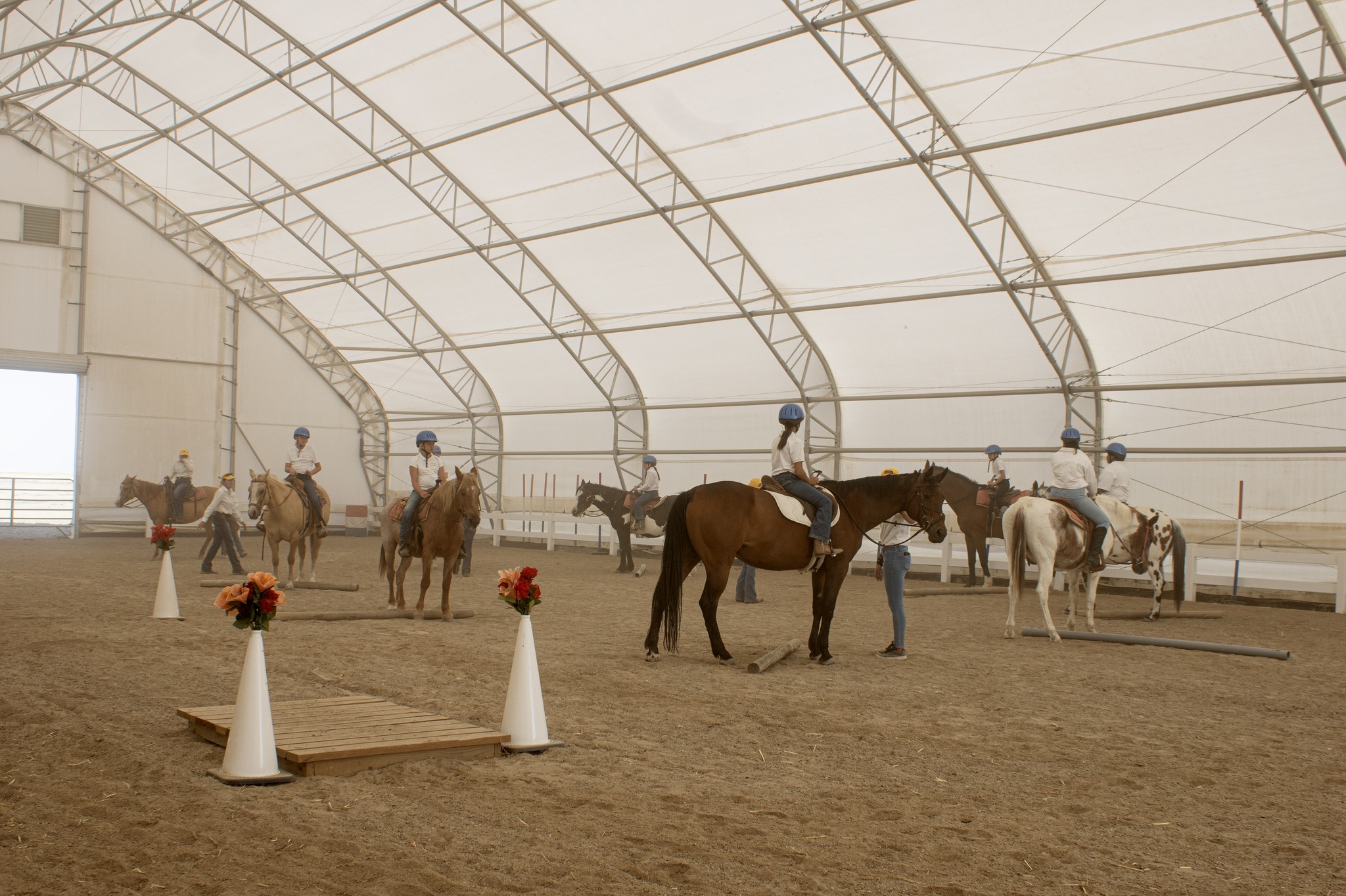 Blue Rose Ranch Horse Rescue & Adoption