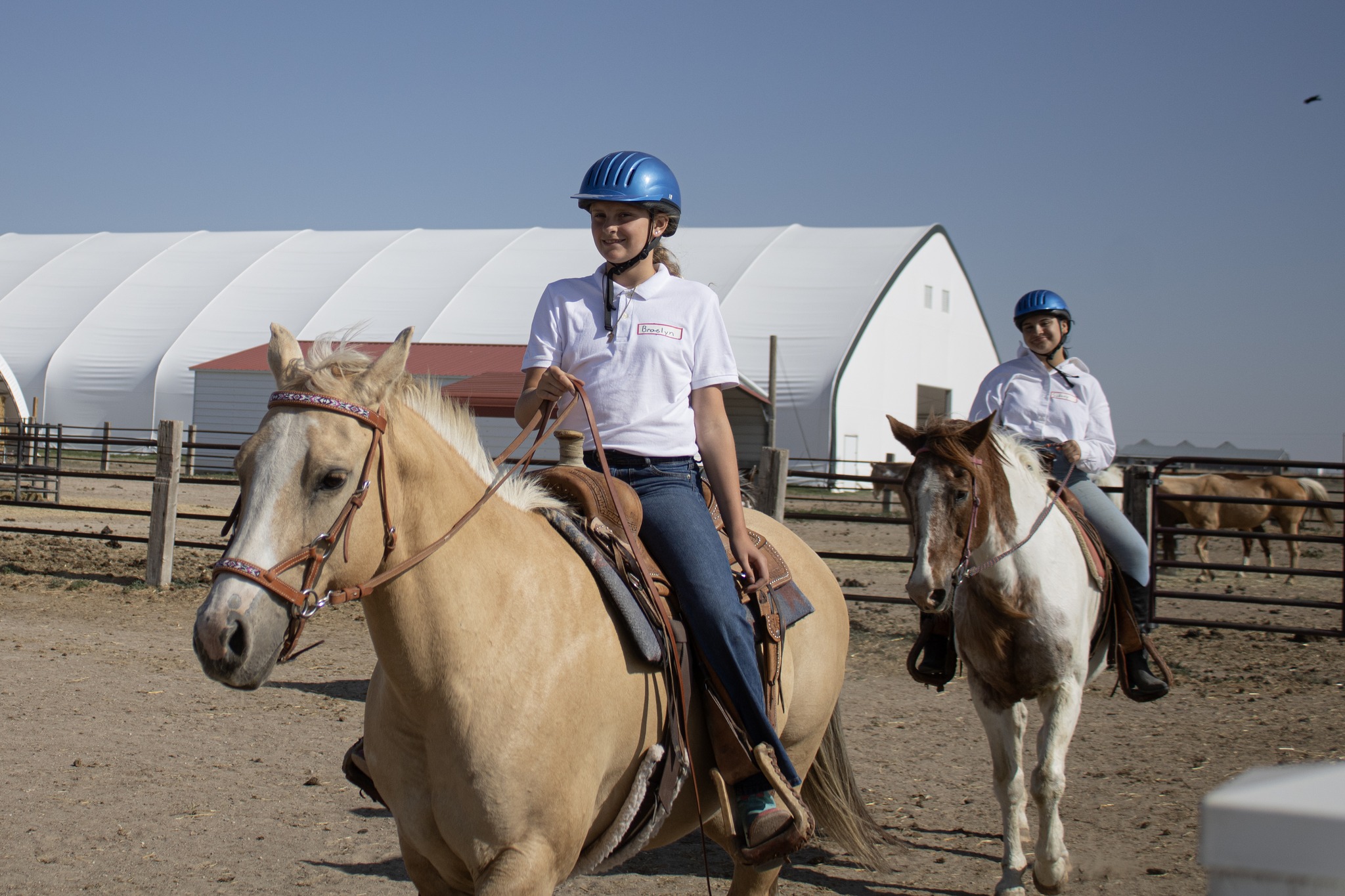 Blue Rose Ranch... - Blue Rose Ranch Horse Rescue & Adoption