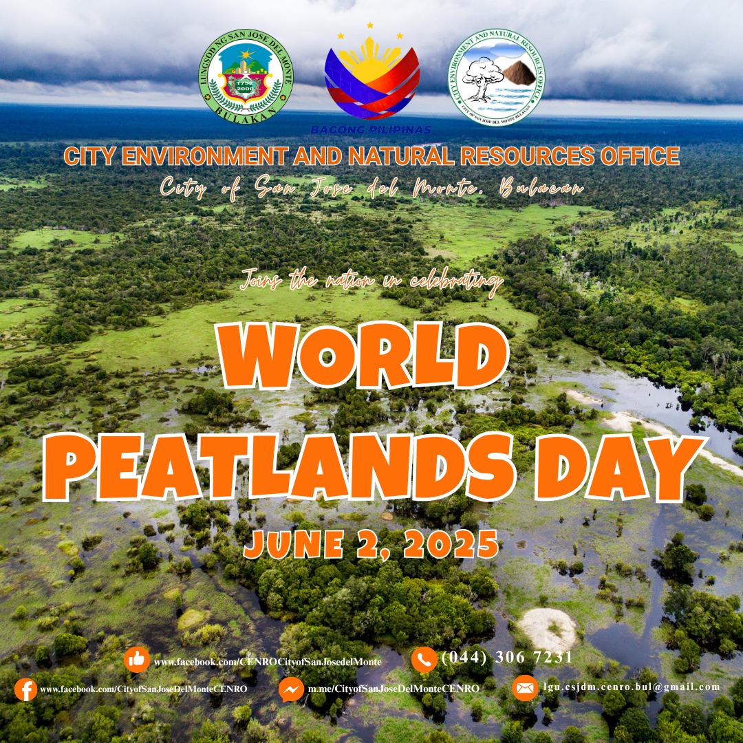 City - World Peatlands Day 2025 is celebrated on June 2nd to raise ...