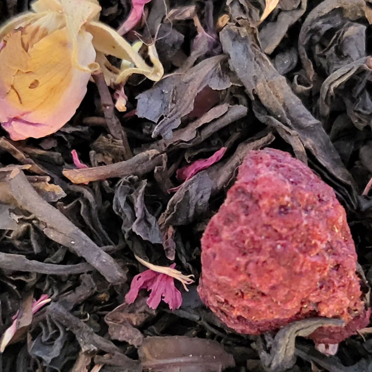 nova_tea_company